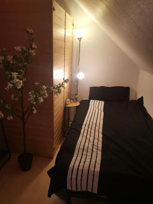 Wohnung Am Kurpark Mit Privater Innensauna & Led! Schluesselbox 博帕德 外观 照片